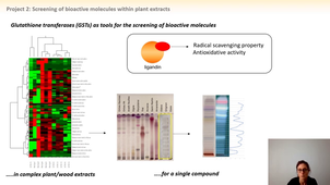 Conseil de pôle A2F, flash talk, EXTRAFONCTION -Mélanie Rouhier