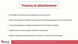 UE6EC1.2 Psychopathologie du trauma de l'enfant de 3 à 6 ans.mp4