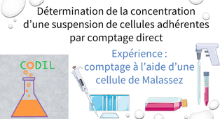 2_1_1Aexperience2