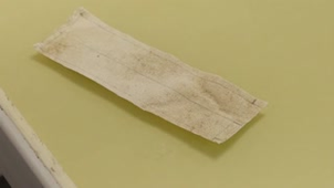 5. Les bandes de coton comme indicateur biologique du fonctionnement des sols - Nettoyage et préparation des bandes avant analyse