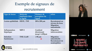 UE1 Decot Véronique 6/11/2025