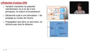05 - Les potentiels gradués