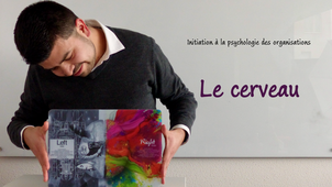 Initiation à la psychologie des organisations - 05 - Le cerveau