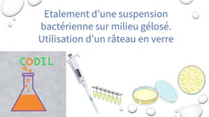 0_2_3_2BBoite_a_outil2_ST