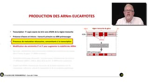 12_2.1-S1 La production d'ARNm eucaryotes