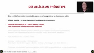 05_Des allèles au phénotype