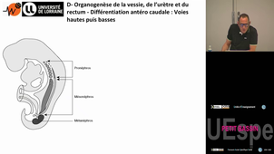 Spé_P-Bassin Nemos Christophe 27/3/25 (pt2) PASS