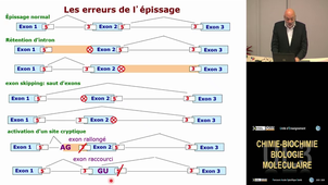UE3 Namour Bernard 4/11/2025
