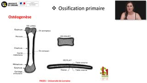 05- PACES UE2 - CM5 - Les tissus cartilagineux et osseux - Emilie Velot