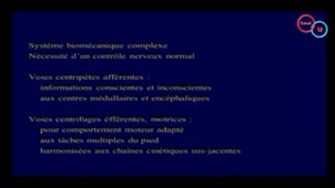 15 Pied neurologique  (Pr C. Tavernier)
