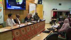 19 La couleur comme signe culturel et le brouillage du langage numérique - Nadia Birouk
