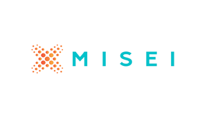 Master MISEI (Master International en Sciences de l'Education Inclusive)