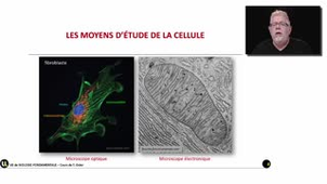 La compartimentation des cellules eucaryotes