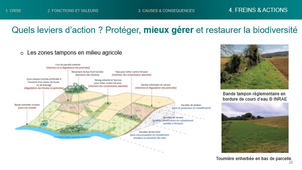 (S2)_Sciences de la vie pass_cm_biodiversite_03