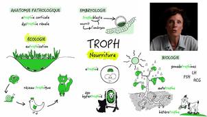 JOUR_1_2_Semaine_3_TROPH