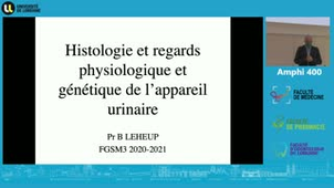 UE 3 - Histologie de l'appareil urinaire et voies excrétrices