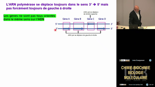 UE3 Namour Bernard 5/11/2025