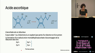 UE4 Gueant Rosa-Maria 7/11/2025