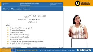 2.7 Economic Fundaments- Firms' Maximization Problem