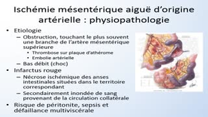 UE13 App. Dig. FGSM2 - Ana Path - 2. Pathologie vasculaire - G Gauchotte 2020