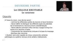 01 - Caractéristiques morphologiques et fonctionnelles des neurones