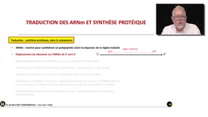 13_2.1-S1 La traduction