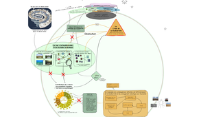 Carte Mentale Partie 3 : La crise de la biodiversité
