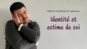 Initiation à la psychologie des organisations - 09 - Identité et estime de soi