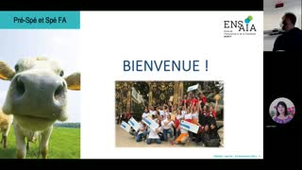 Spécialisation FA