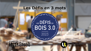 Les Défis du Bois en 3 mots