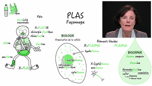 JOUR_1_1_Semaine_3_PLAS
