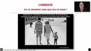 04_Un mécanisme complexe