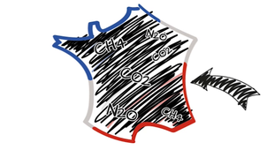 Émissions territoriales versus émissions importées
