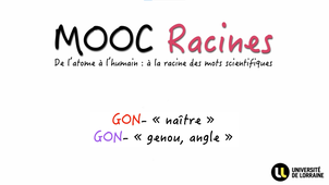 JOUR_5_Semaine_2_GON