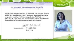 Economie de l'énergie - 1.2 Fondements économiques (suite)