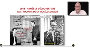 06_2.1-S1 La molécule d'ADN