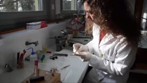 Réalisation et coloration de coupes minces de bois