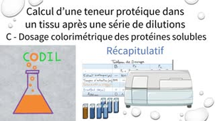 3_3_1Crecapitulatif