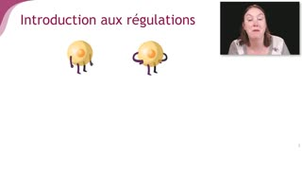 La régulation épigénétique - Chapitre 4 - partie 1