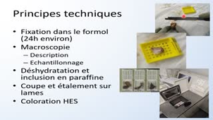UE1 FGSM2 TP - Aspects techniques - C Yguel
