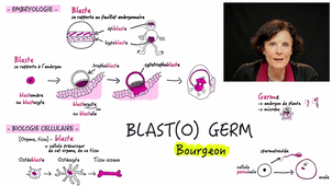 JOUR_3_1_Semaine_1_BLAST(O) GERM