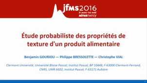 JFMS 2016 Philippe Bressolette