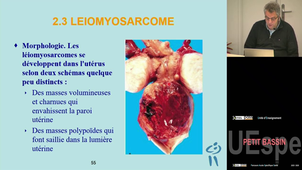 P-Bassin Sartelet Hervé 21/04/2026 (Pt2)