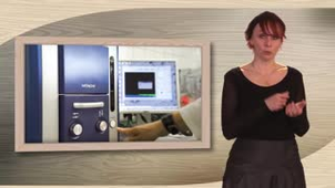 Anatomie du bois - Bande annonce du Mooc