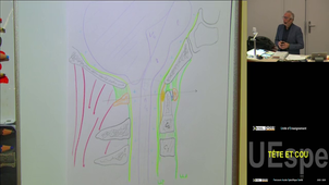 Tête et cou Pr Braun Marc 10/03/2026 (Pt1) LAS 2 et 3