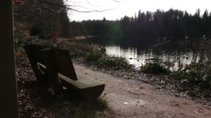 Le Lac de Pierre Percée