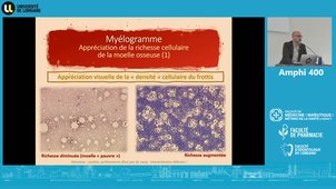 UE6 Perrin Julien 15/04/2026 (Pt2)