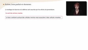 Le bois, tissu de réserves et de défense - Chapitre 5 - partie 1