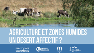 Agriculture et Zones humides : un désert affectif ?