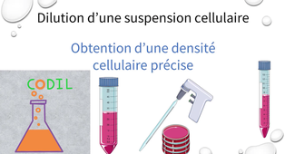 2_1_1partie_B_complete_ST